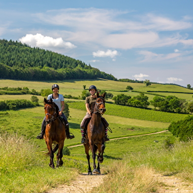 Cluny Horse Valley