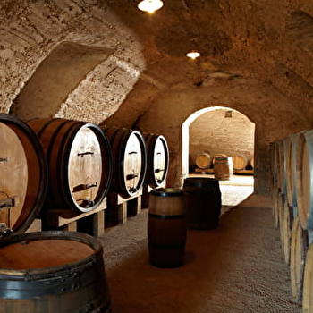 Biodiversité et terroir - OZENAY