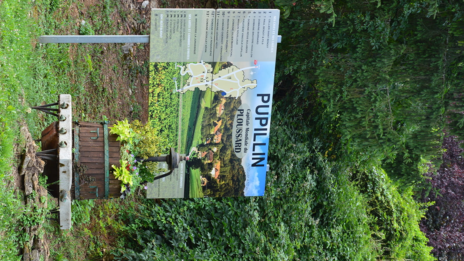Fête du Biou de Pupillin