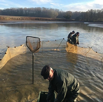 Pisciculture des Marais