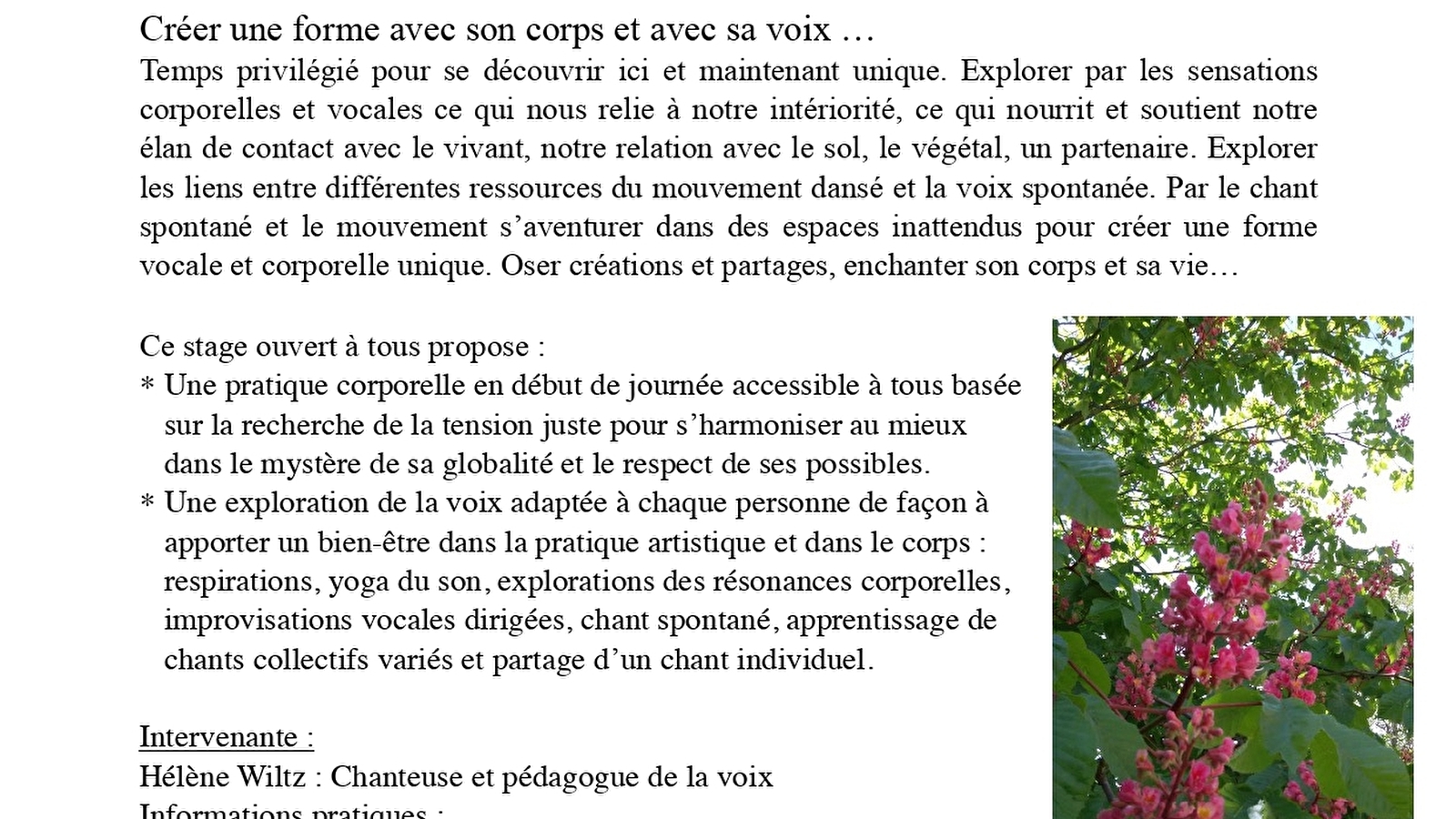 Stage chant, corps et voix