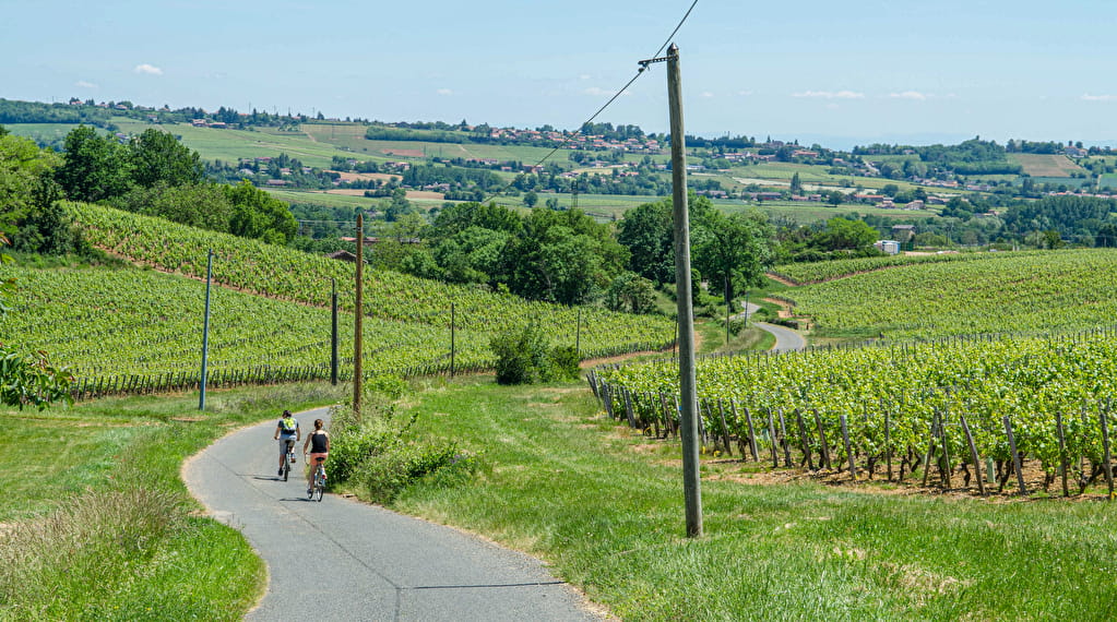 La Vélo Gourmande en Sud-Bourgogne Du 1 au 6 juin 2024