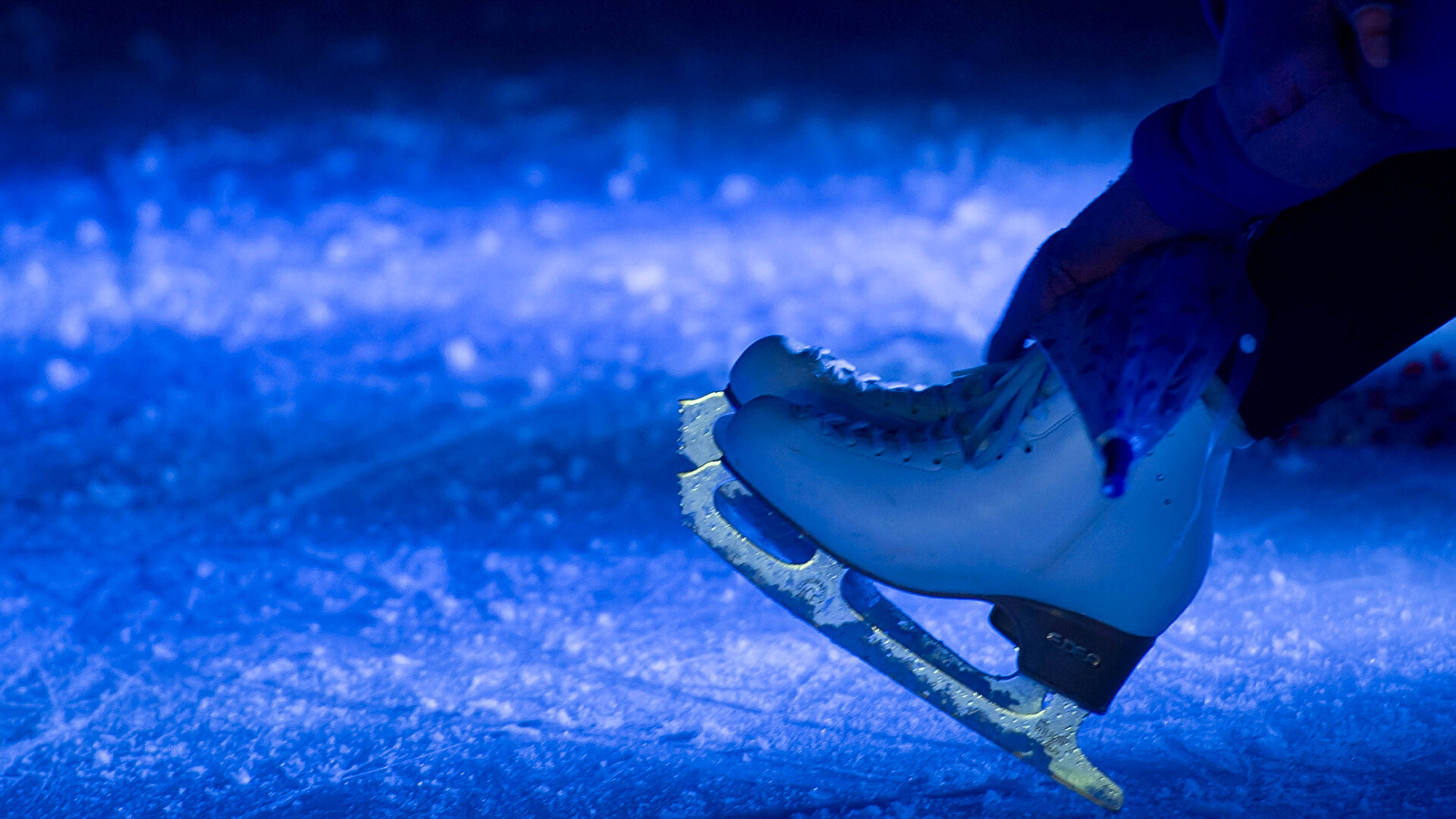 Cours de Patinage