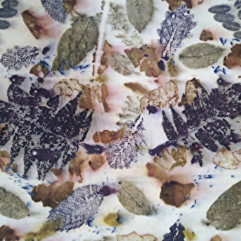 Stage de Teinture Naturelle : Ecoprint - PRESSY-SOUS-DONDIN