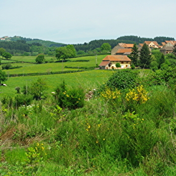 Le grand vroulon - VEROSVRES