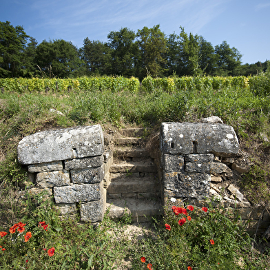 Domaine Ninot (Visite-dégustation - Rully et Mercurey, les secrets de nos terroirs)