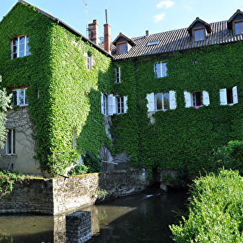 Le Moulin de Merzé - Le Rouge-Gorge - CORTAMBERT