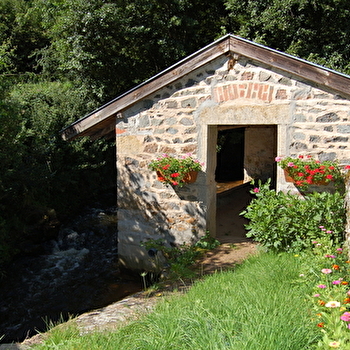 Chemin des crêtes - TRAMBLY