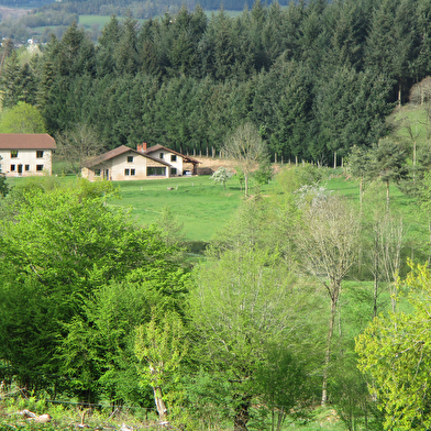 Chambre d'hôtes La Seigne-Noyer 