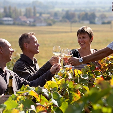 L'Ecole des Vins de Bourgogne