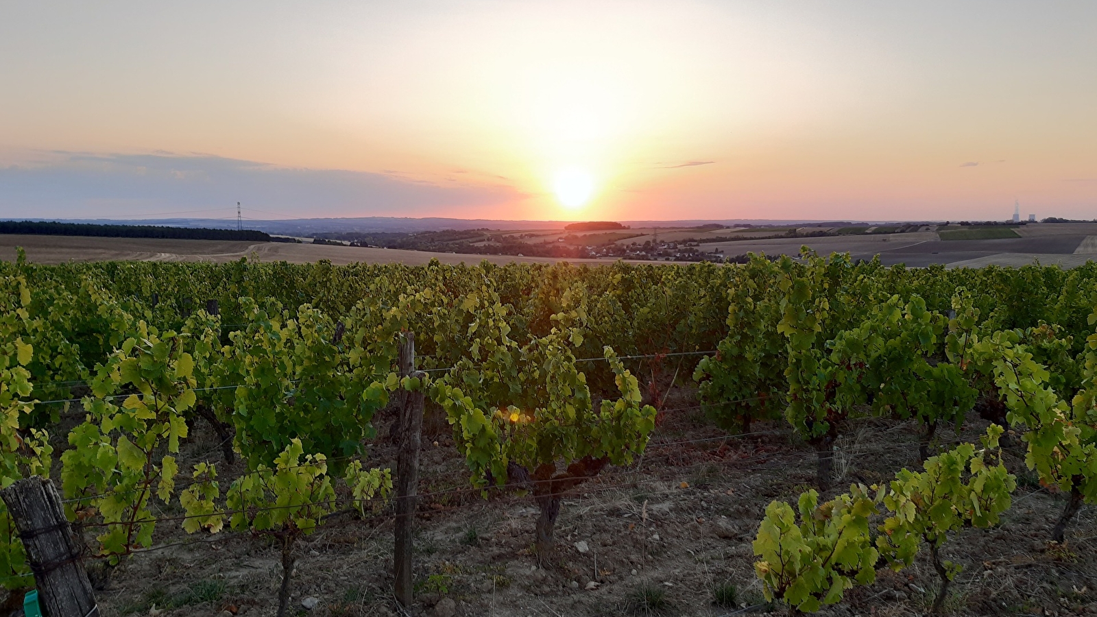 'It's Wine Time' sur les bords de Loire