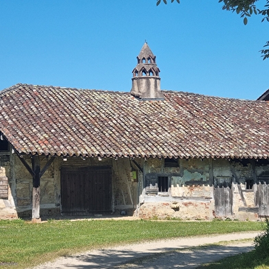 Circuit VTT n°24 (rouge) - La St Martin