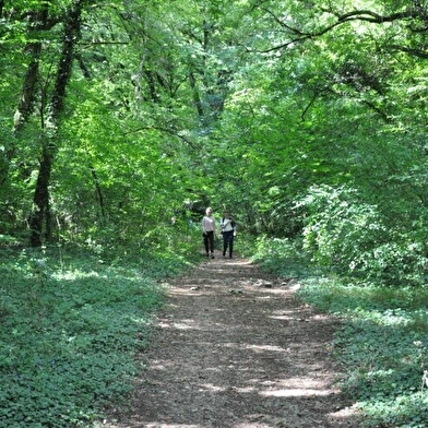 Parc écologique de la Combe Saint-Joseph