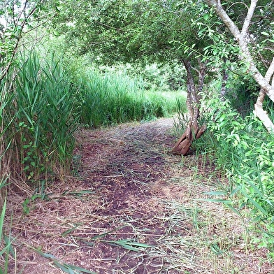 Le sentier du Marais d'Andryes 