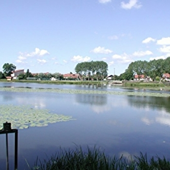 Étang de la rivière Drugeon - LA RIVIERE-DRUGEON