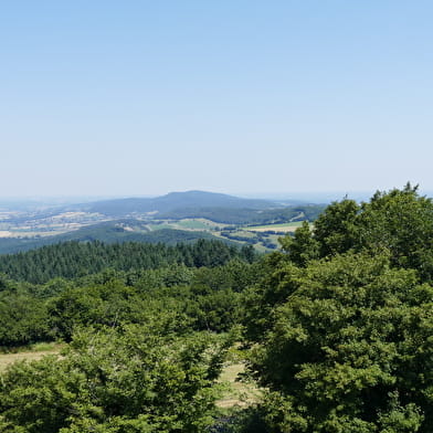 CycloRoute71 - Etape 1 de Mâcon à Cormatin