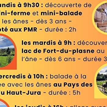 Mini balade et découverte de la mini-ferme - la Flânerie d'Audrey - FORT-DU-PLASNE