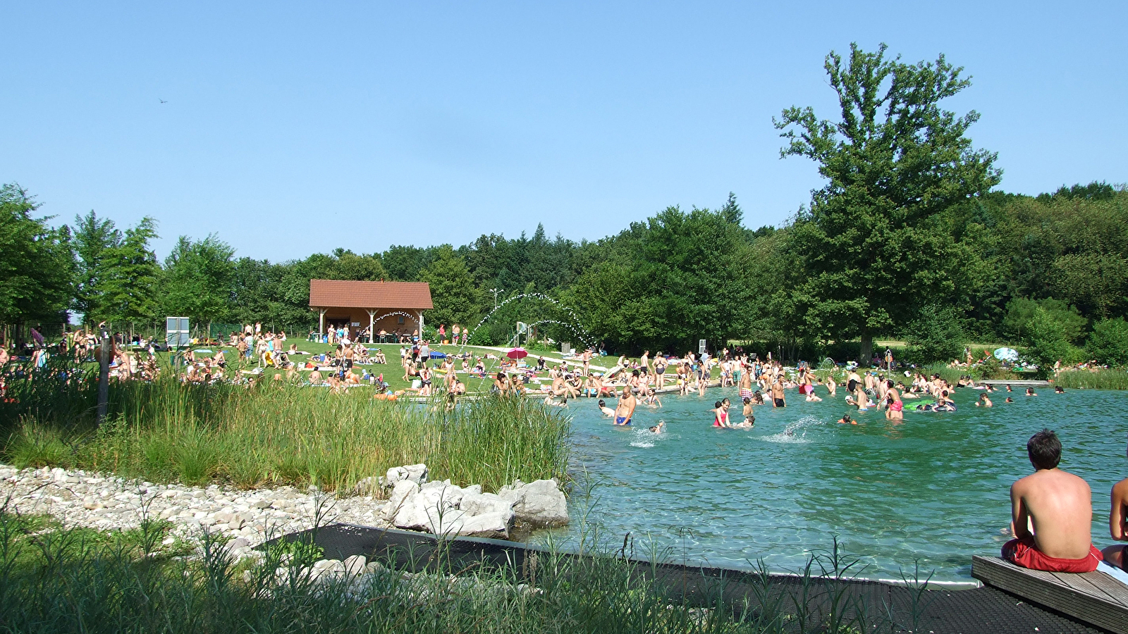 Plan d'eau biotope