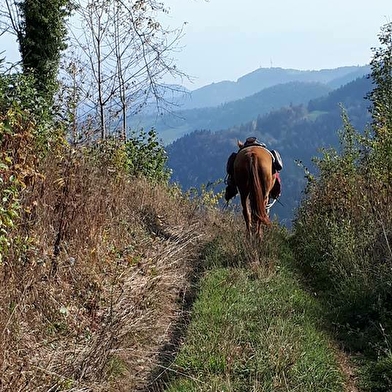 Trace equestre des ballons comtois