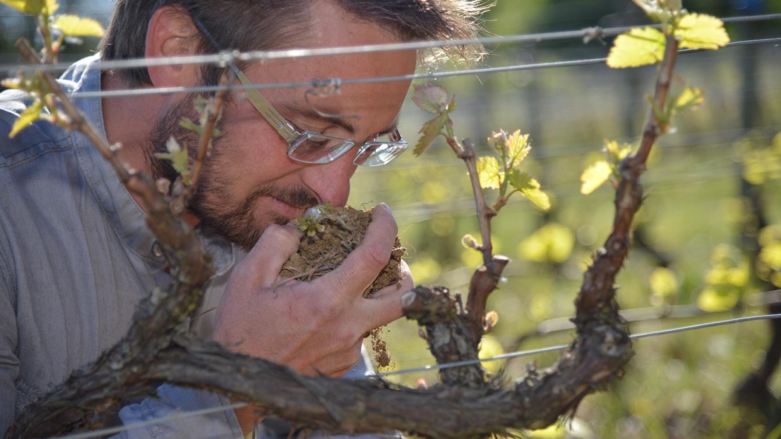 Domaine Aurélien Febvre