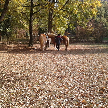 Le Ranch des Jacinthes - SAINT-MARTIN-DU-TARTRE