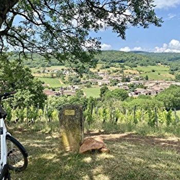 La VélOeno71 : dans les sillages du joyeux Gamay - ROMANECHE-THORINS
