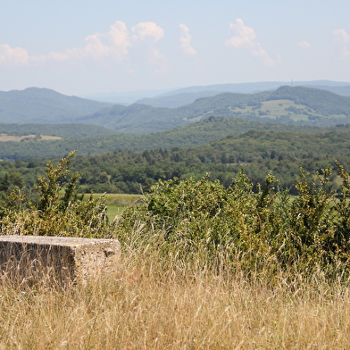 Plateau d'Arnans - Chartreuse de Sélignac et voie royale
