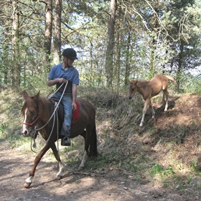 Ferme Equestre de Valbertier