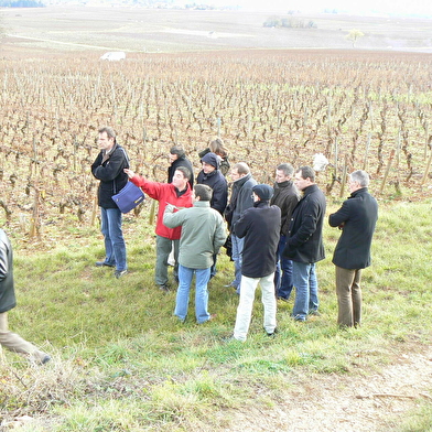 L'Atelier de la Vigne et du Vin