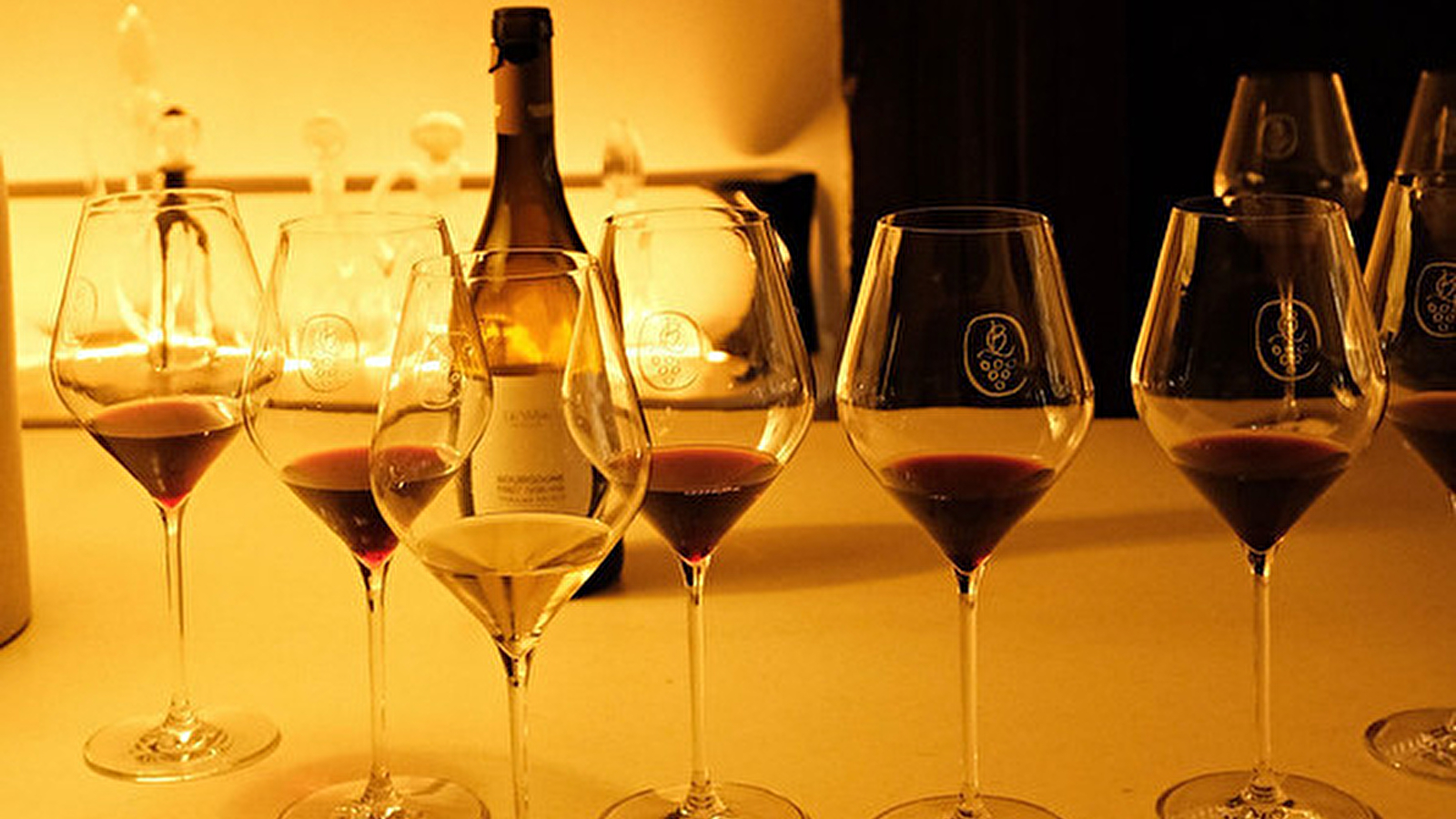 Vignobles en Scène s'invite à Bellevigne  : Atelier au coeur de la vigne