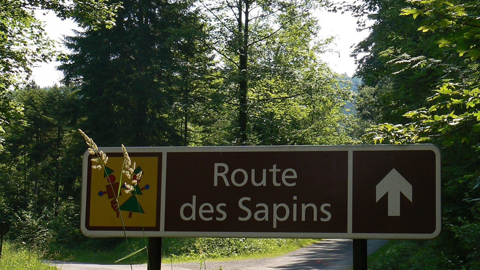La Route des Sapins