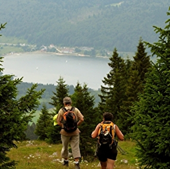 La Roche Bernard  - BOIS-D'AMONT