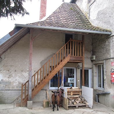Gîte Studio des merles - Domaine de Fontenelay