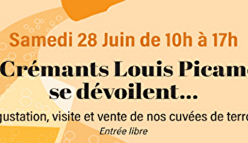 Les Crémants Louis Picamelot se dévoilent - RULLY