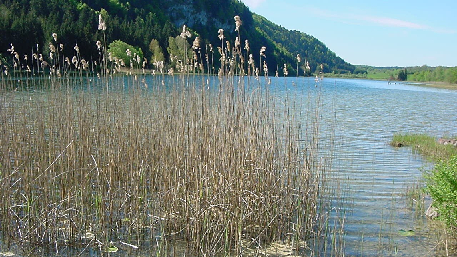 Belvédère sur les lacs d'étival