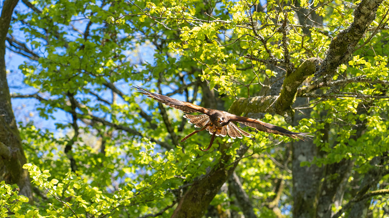 Week-end 'détente et reconnexion avec la nature'