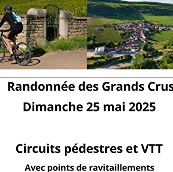 Randonnée des Grands Crus - SAINT-AUBIN