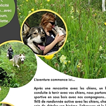 Cani rando chiens de traineaux - LAMOURA