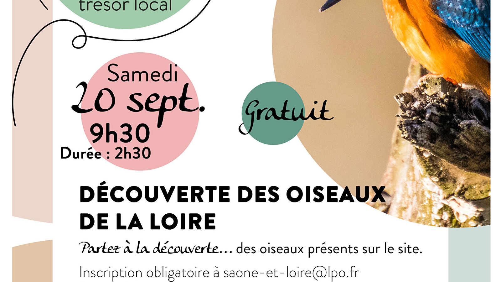Découverte des oiseaux de la Loire