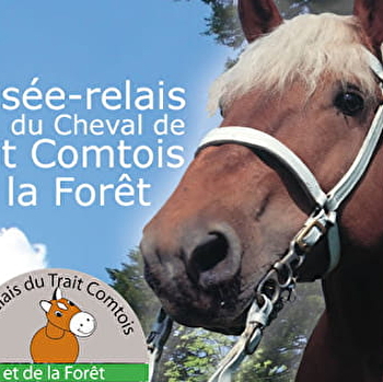 Fête du Musée du cheval de trait comtois et de la forêt - LEVIER