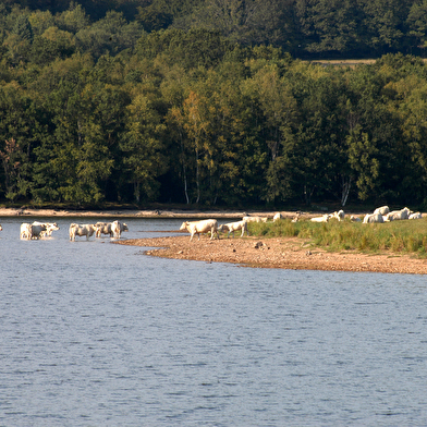 Lac de Saint-Agnan