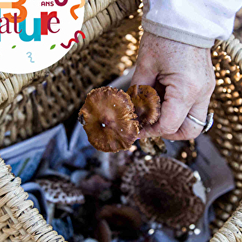 Sortie 123Nature : Champignons - ISSANS