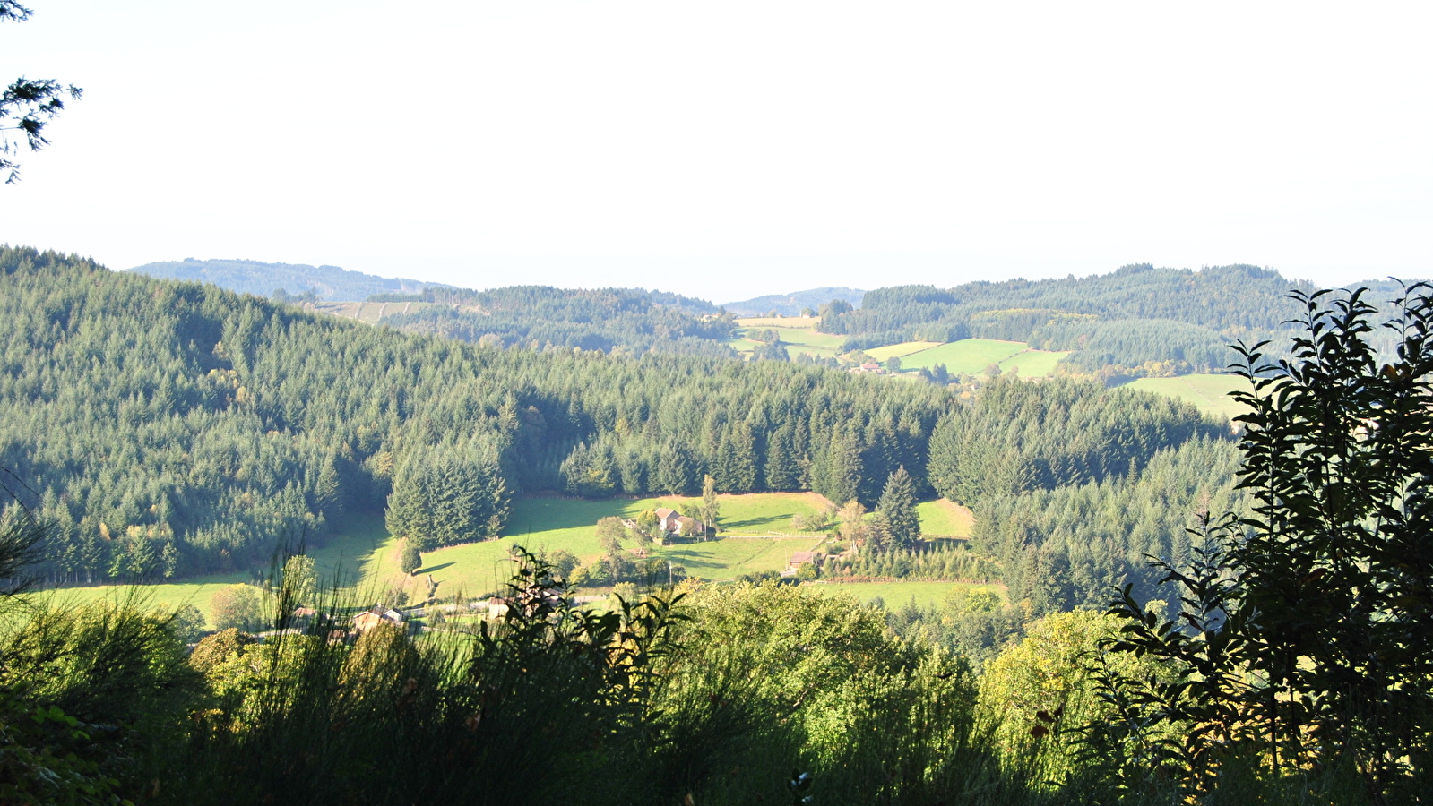 Les charmes - Beaujolais - Saint-Igny-De-Vers