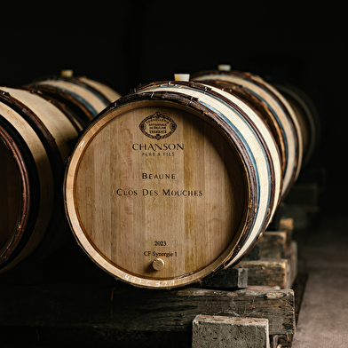 Domaine Chanson - Visite Épicurienne