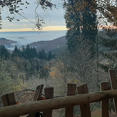 Domaine de Fangorn, Cabane du Druide