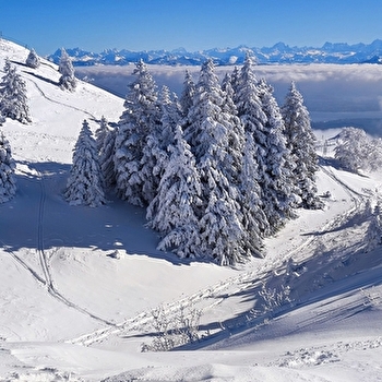 Sentier raquettes Les Montronds - GEX