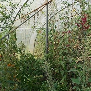 Le Jardin du Maquis - BEAUMOTTE-AUBERTANS