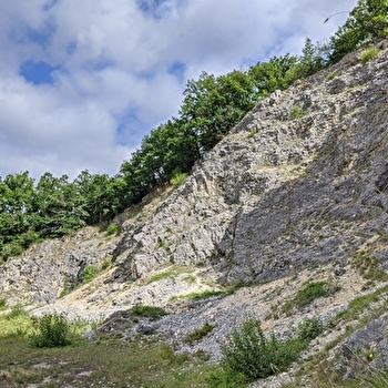 Journées Européennes du Patrimoine à la Réserve Naturelle Nationale du Bois du Parc - MAILLY-LE-CHATEAU