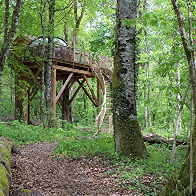 Dôme perché spa - Domaine de la Combe Rossignol