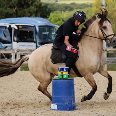 Concours Hippique - Pony games international